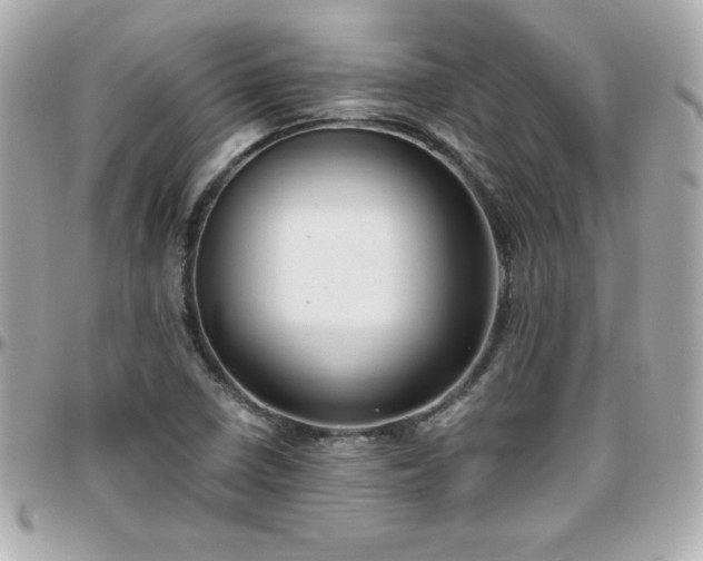 X0000096431410200801241328