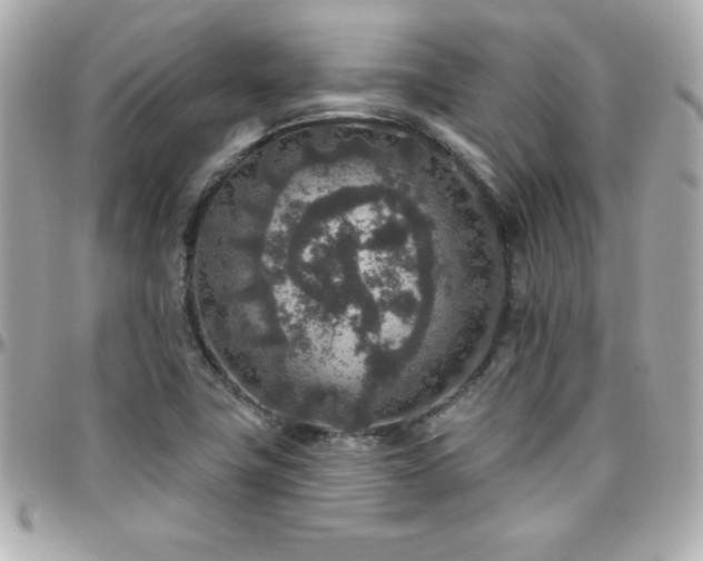 X0000096431411200801241328
