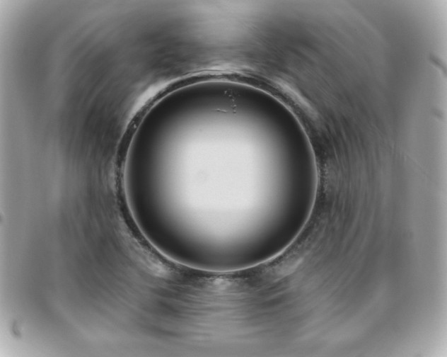 X0000096431412200801241328