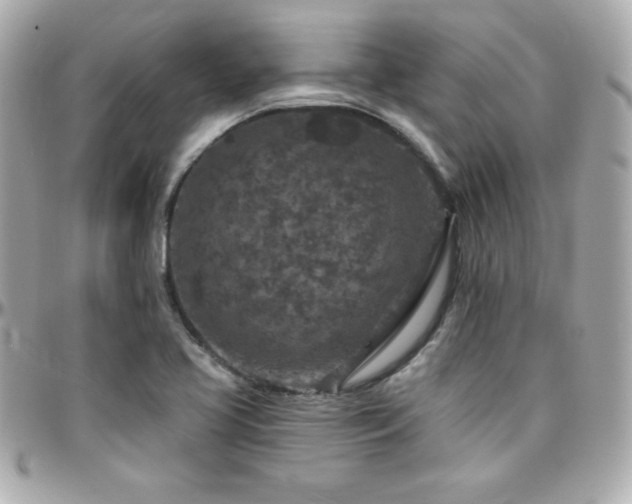 X0000096431413200801241328