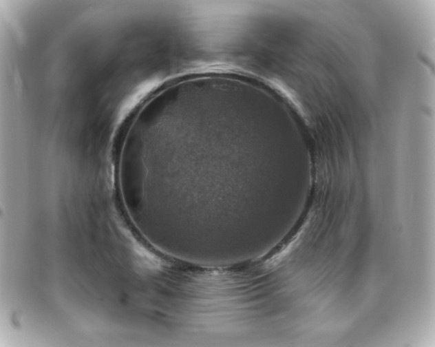 X0000096431414200801241329