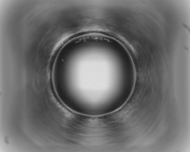 X0000096431416200801241329