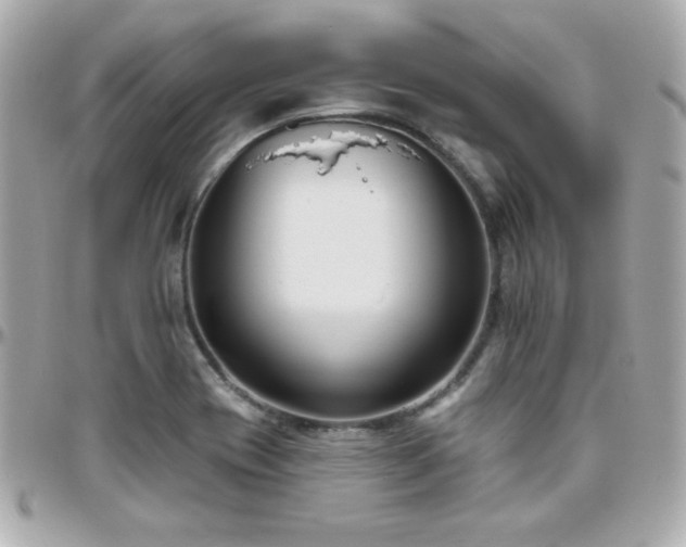 X0000096431417200801241329
