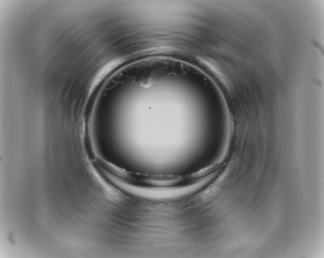 X0000096431418200801241329