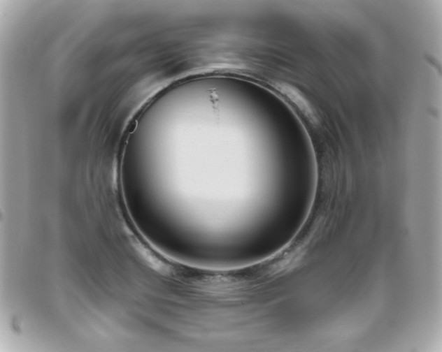 X0000096431420200801241329
