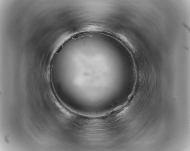 X0000096431421200801241329
