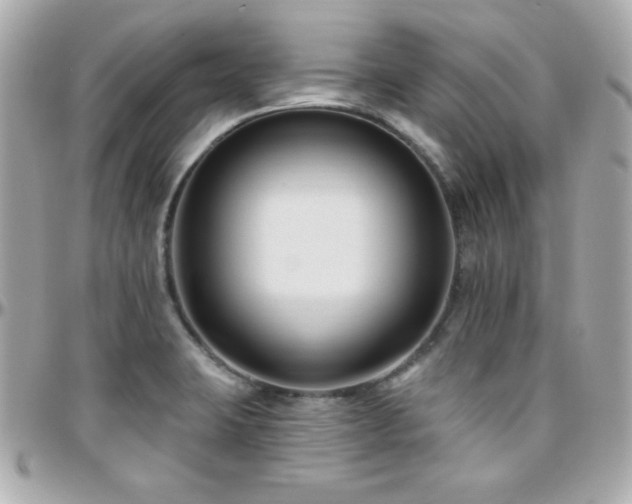X0000096431423200801241329