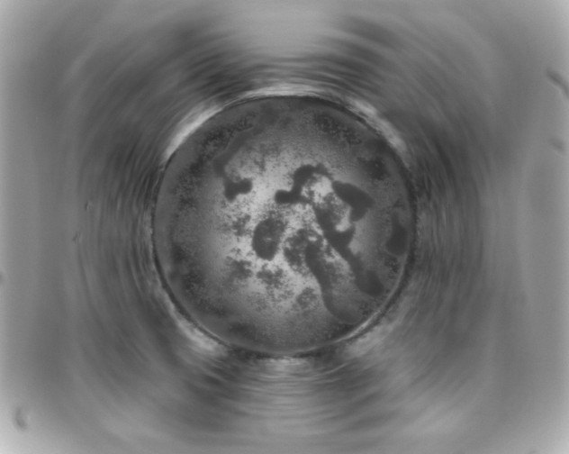 X0000096431425200801241329