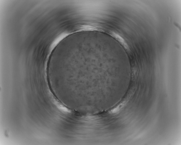 X0000096431427200801241329