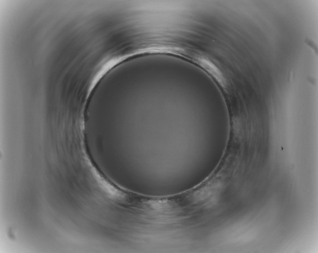 X0000096431428200801241329