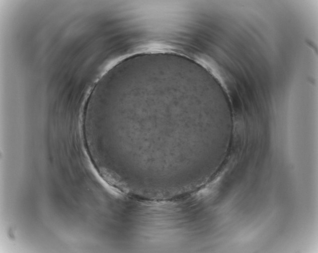 X0000096431429200801241329