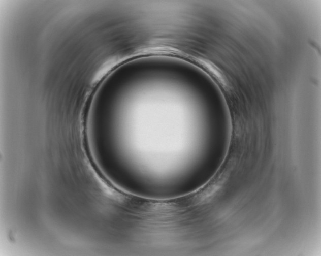 X0000096431430200801241329