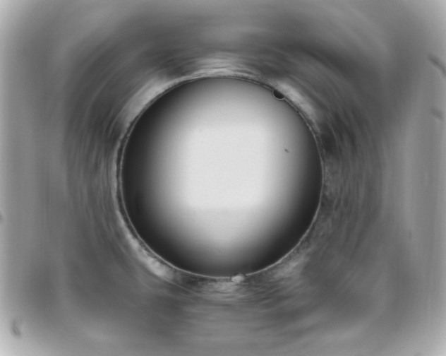X0000096431431200801241329