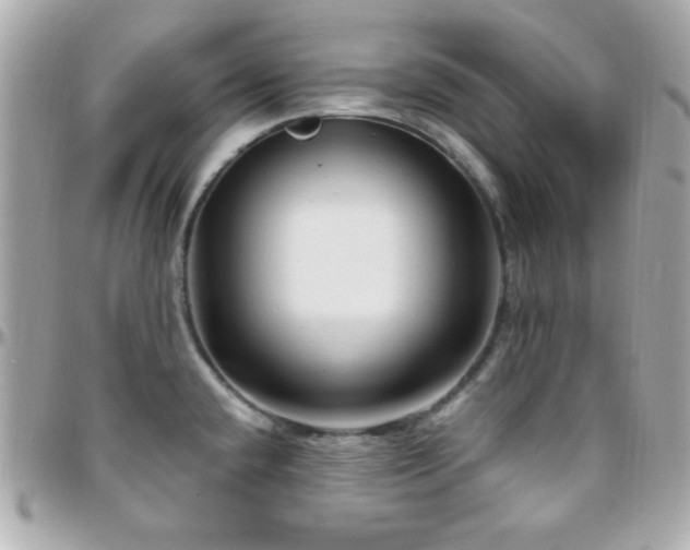 X0000096431432200801241329