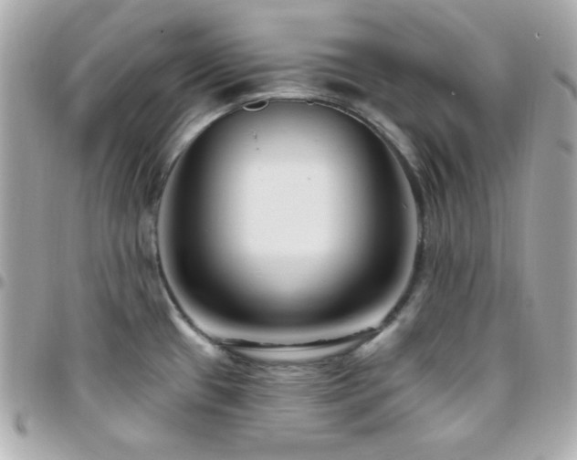 X0000096431433200801241329