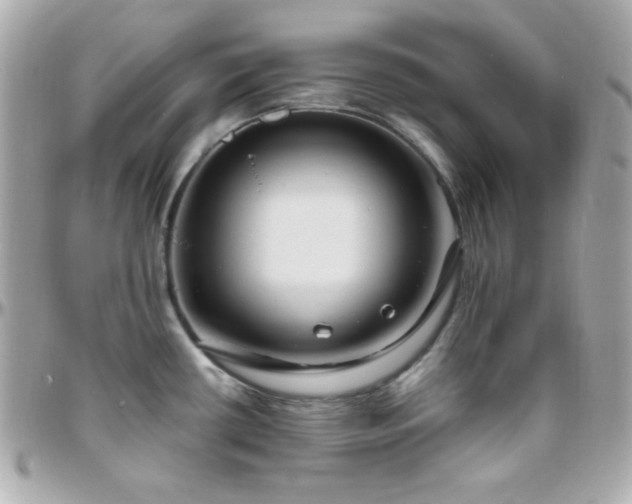 X0000096431434200801241329