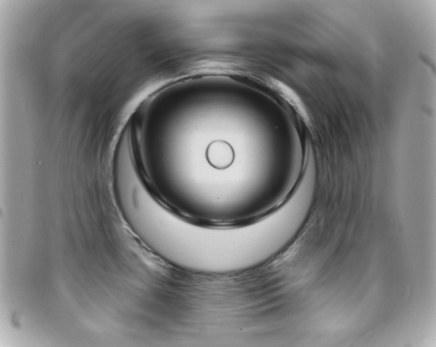 X0000096431435200801241329