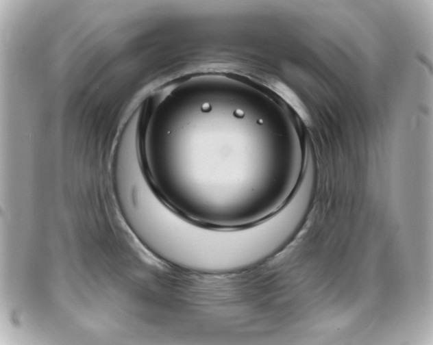 X0000096431436200801241329