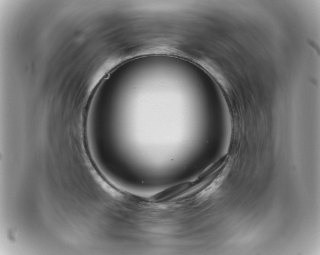 X0000096431438200801241329