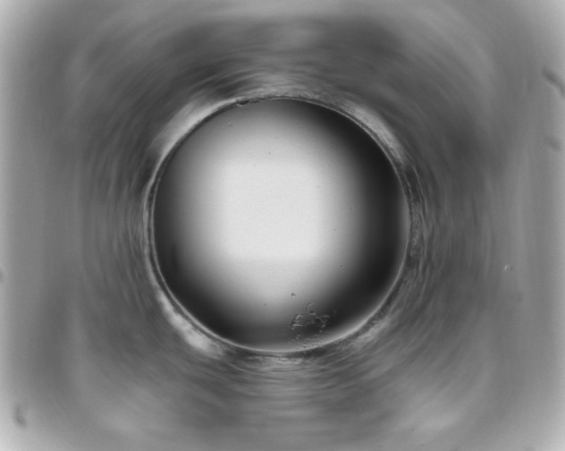 X0000096431439200801241329