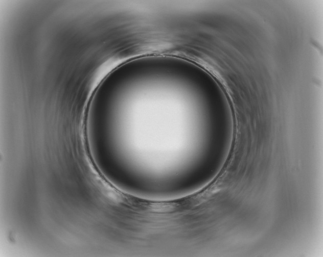 X0000096431440200801241329