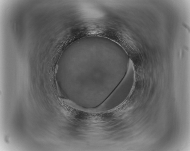 X0000096431441200801241328