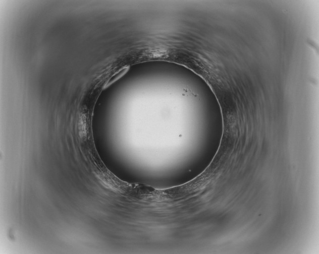 X0000096431442200801241328