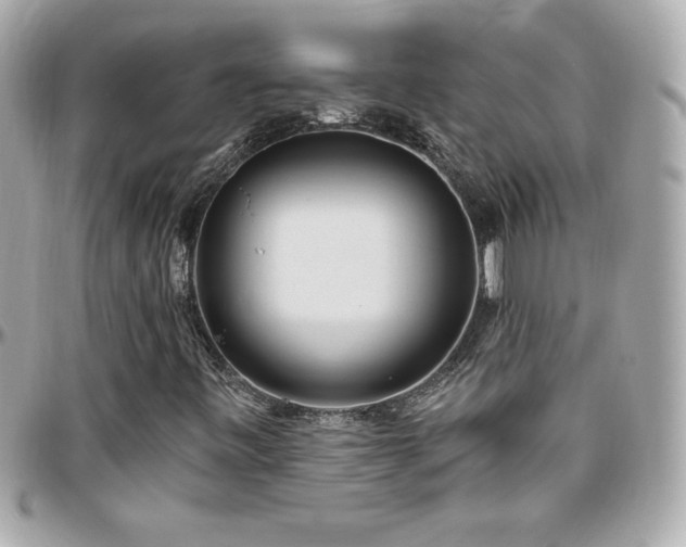 X0000096431443200801241328