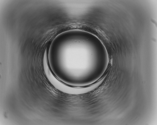 X0000096431444200801241328