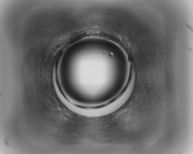 X0000096431445200801241328