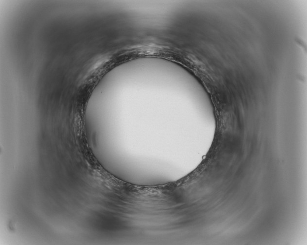 X0000096431446200801241328