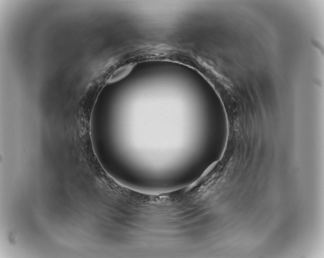X0000096431447200801241328