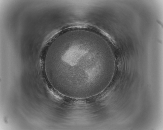 X0000096431448200801241328