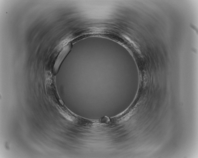 X0000096431449200801241328