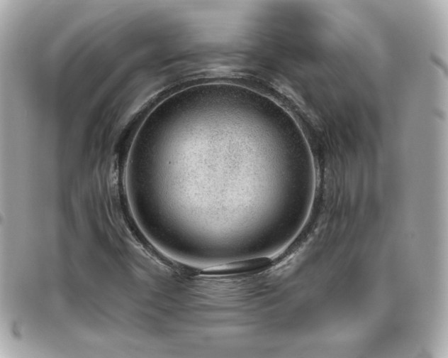 X0000096431450200801241328