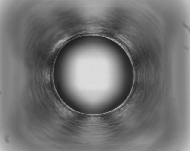 X0000096431451200801241328