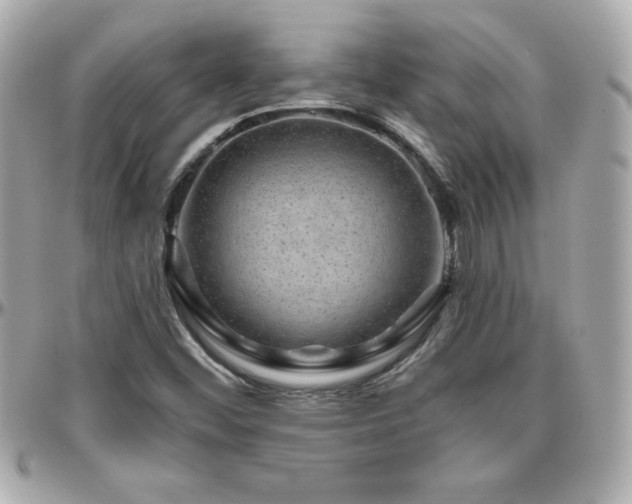 X0000096431452200801241328