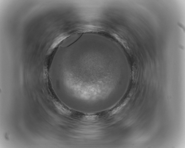 X0000096431453200801241328