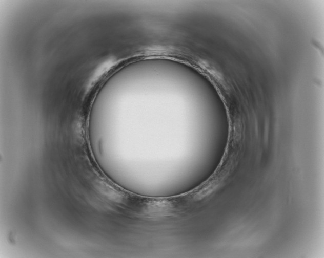 X0000096431454200801241328