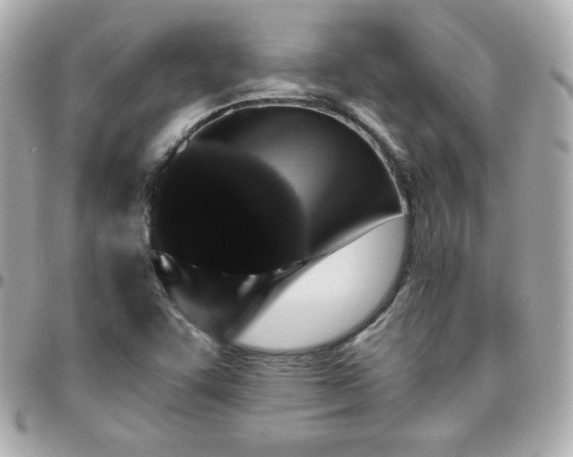 X0000096431455200801241328