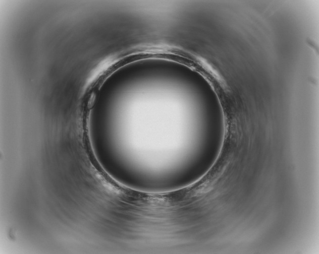 X0000096431456200801241328