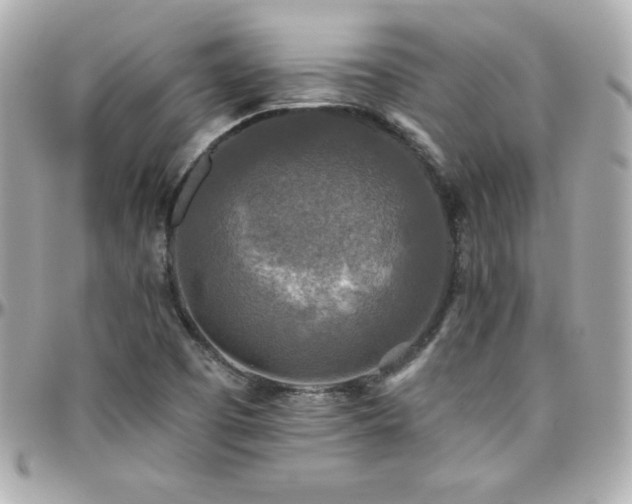 X0000096431457200801241328