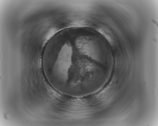 X0000096431459200801241328