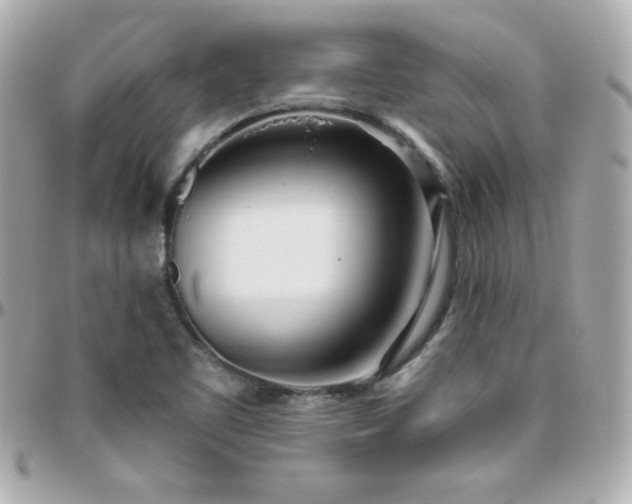 X0000096431461200801241328