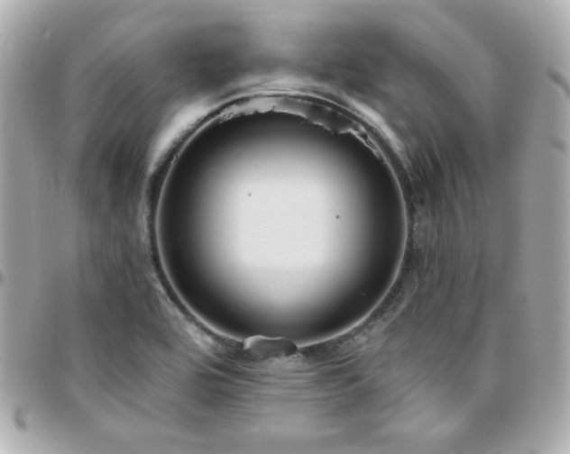 X0000096431464200801241328