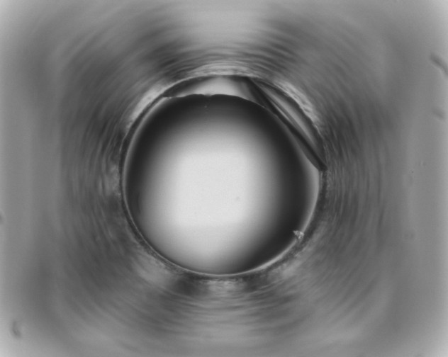 X0000096431465200801241328