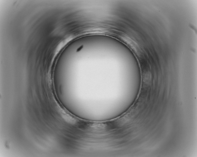 X0000096431466200801241328