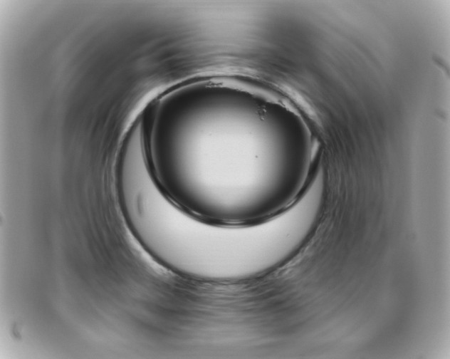 X0000096431468200801241328