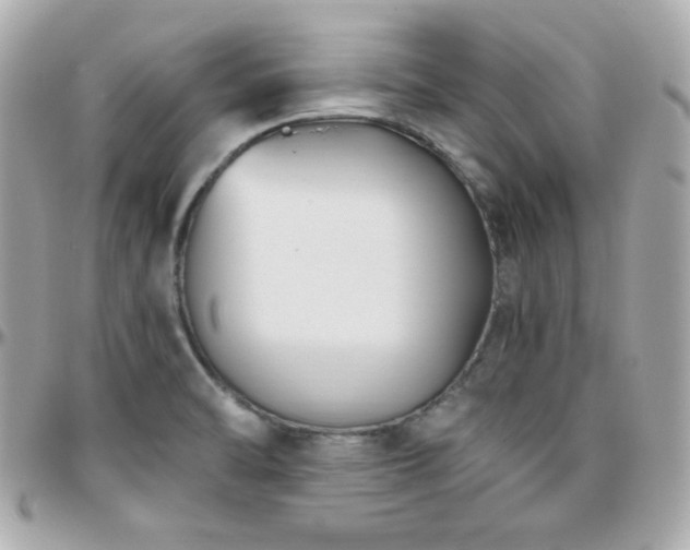 X0000096431470200801241328