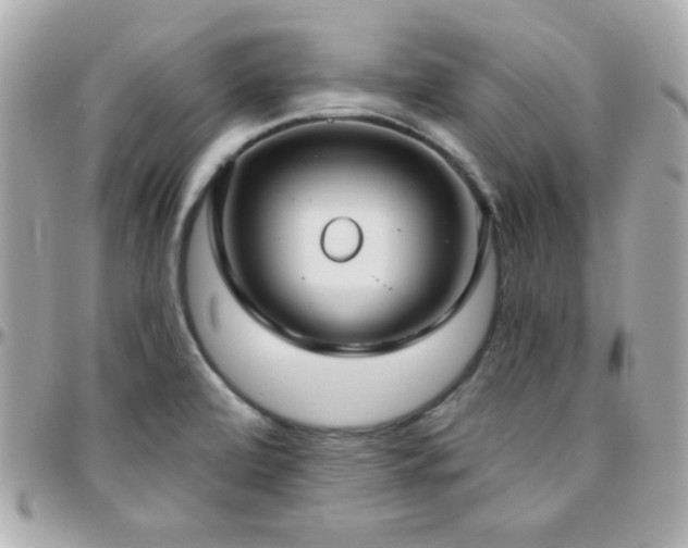 X0000096431472200801241328